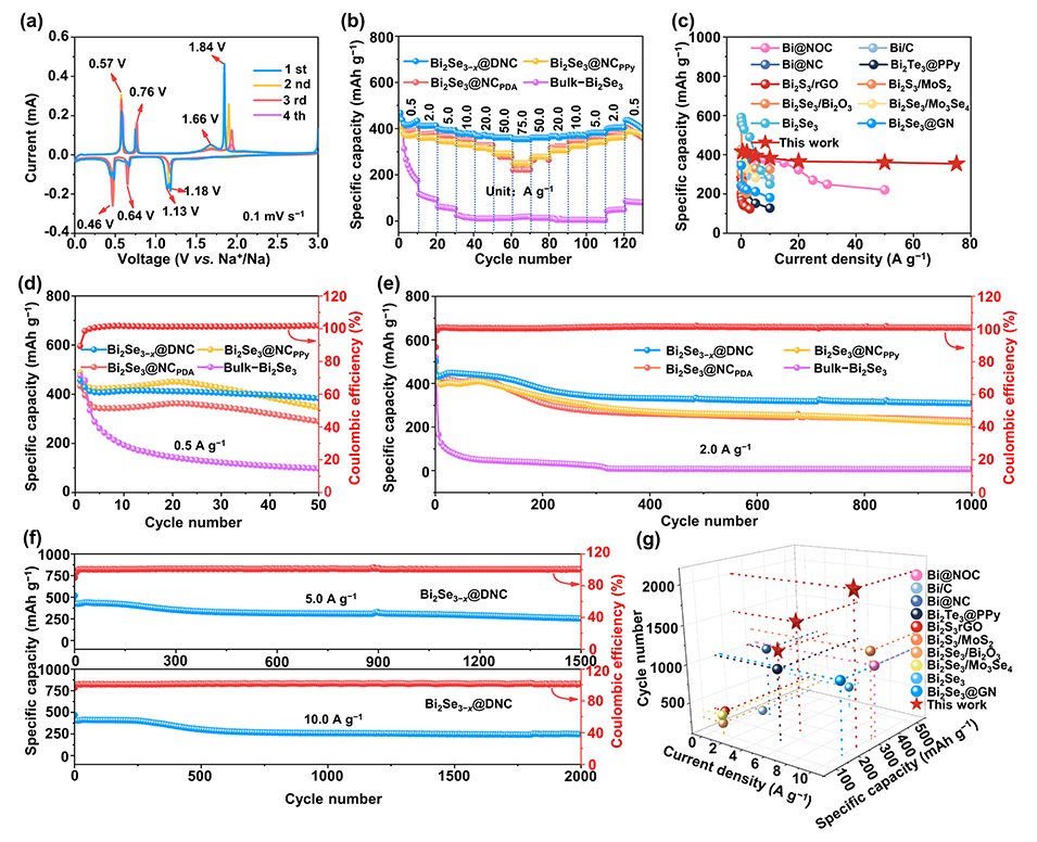 杭高院黄少铭&广工张伟发表Advanced Energy Materials：协同调节多硒化物溶解和富含Se空位的硒化铋中的钠离子扩散以实现超快、耐用的钠离子电池