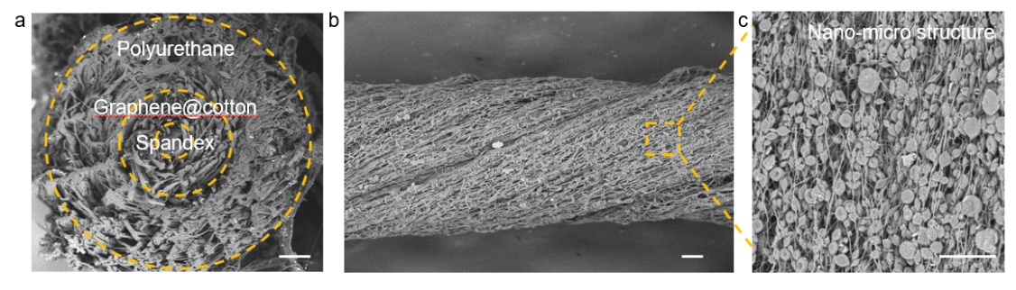 武汉纺织大学刘可帅教授Nano Energy：分层芯鞘湿适应传感器，用于水下运动监测和能量收集