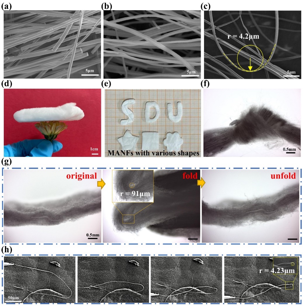 山东大学王新强教授&谢永帅副研究员：用于 –196-1600 °C隔热、透波镁铝尖晶石纳米纤维