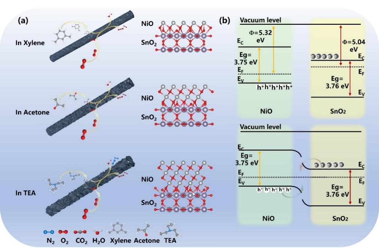 上海理工大学王丁&李贵生：基于MOF衍生的SnO2@NiO纳米核壳材料，用于高性能气体传感器研究
