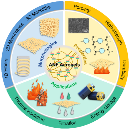 陕西科技大学张美云、杨斌团队ACS AMI “Functional Aerogels”专题邀稿：新兴多功能ANF气凝胶的创新进展