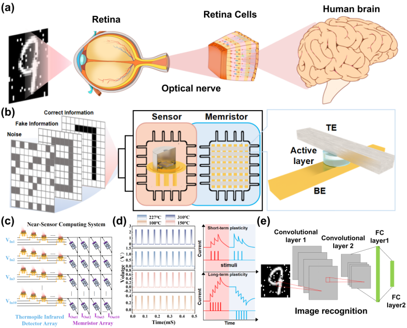 山东大学王天宇&中北大学雷程Nano Letters：基于忆阻器的红外传感神经形态计算系统，近传感计算实现数据信息加密