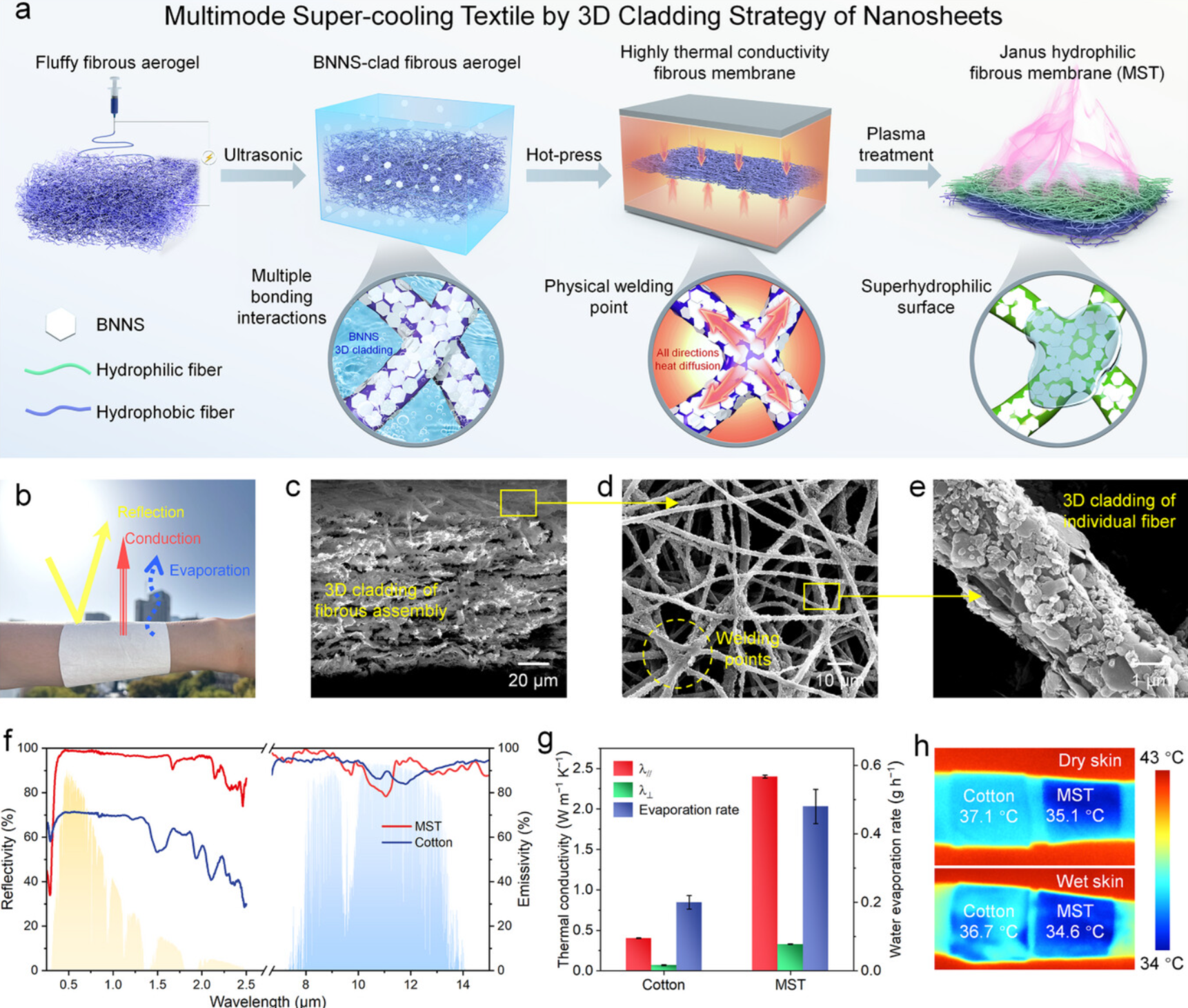 5篇《Advanced Materials》！“静电纺丝”最新研究成果
