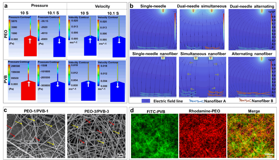 Advanced Fiber Materials | 上海大学刘媛媛等人开发活体纳米纤维支架，实现糖尿病慢性创面的即时原位治疗
