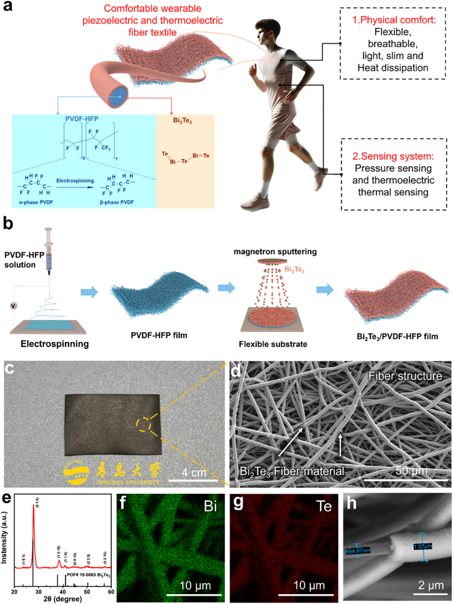 青岛大学龙云泽教授&张俊副教授《AFM》：用于自供电多模态传感系统的柔性压电-热电耦合纳米纤维发电机