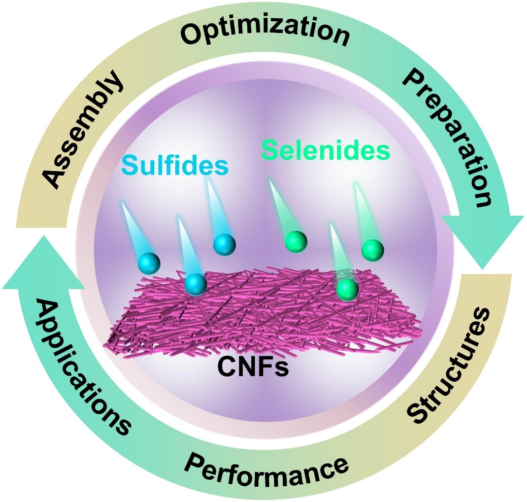 浙江理工大学杨超&武观&英国诺森比亚大学徐斌教授综述：静电纺丝纳米纤维基硫化物/硒化物，用于先进能源存储与转换设备