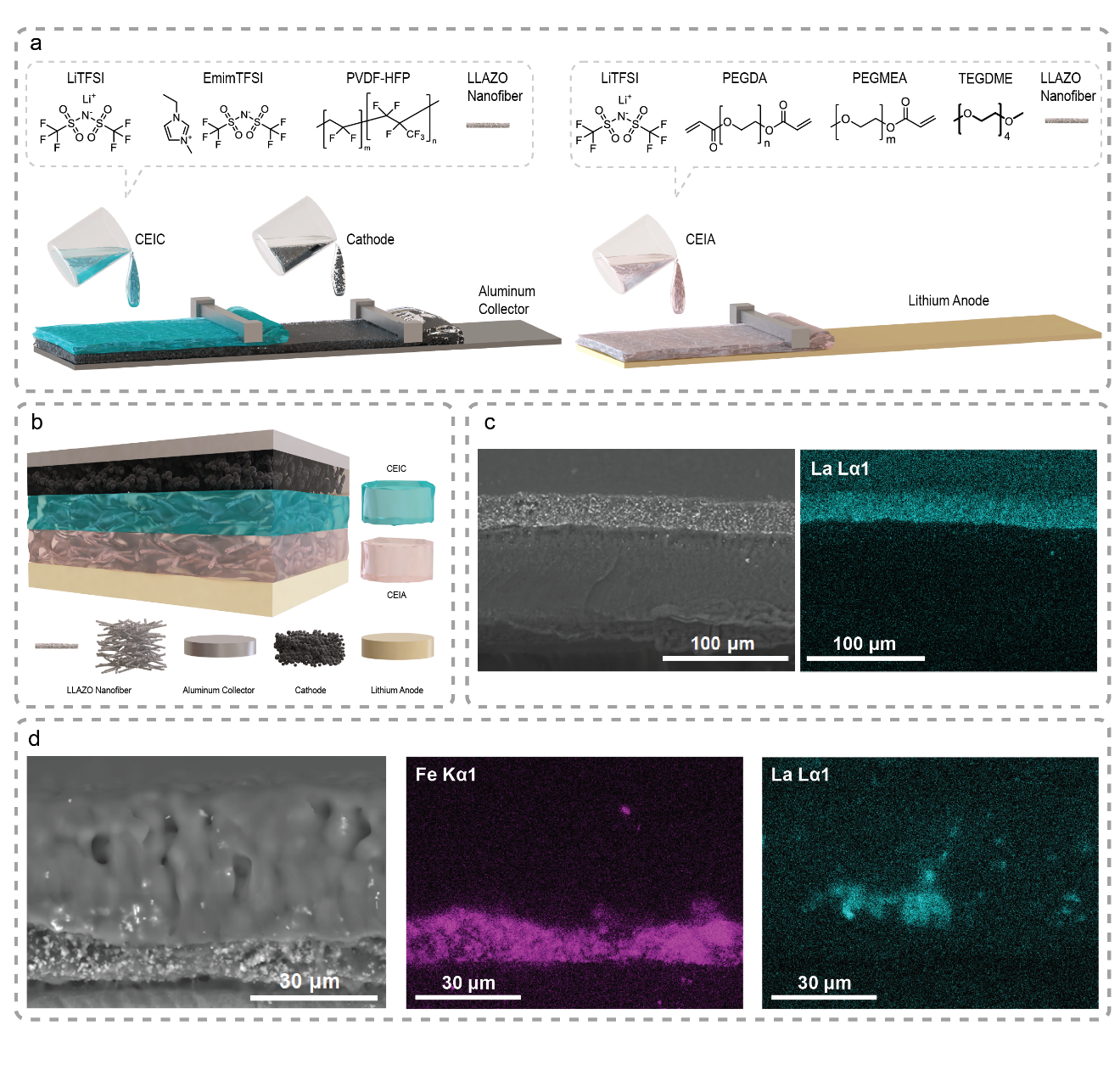 北卡州立大学张向武教授：原位集成异质双层复合电解质，助力高性能锂金属电池规模化发展