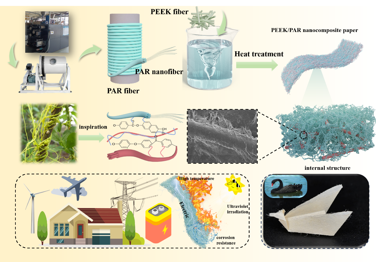 武汉纺织大学熊思维副教授：仿生藤蔓缠绕PEEK/PAR纳米复合纸:通过分级界面耦合增强介电强度与老化稳定性