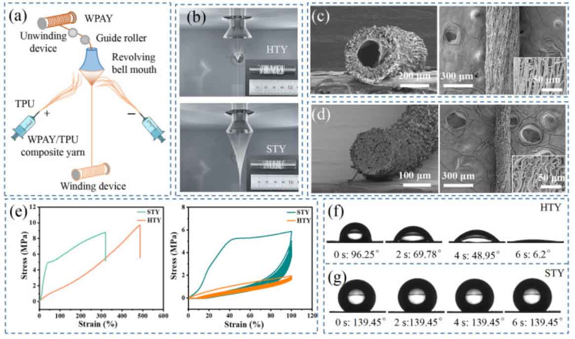 苏州大学潘志娟教授&闫涛副教授：基于AgNWs/TPU的焦耳加热和应变传感纱线，实现温度可视化，用于体育锻炼和健康监测