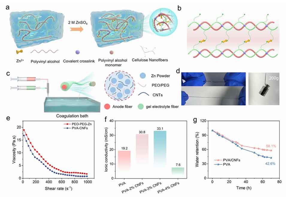 上海工程技术大学芮一川团队：锌粉+凝胶电解质同轴纺纤维锌离子电池