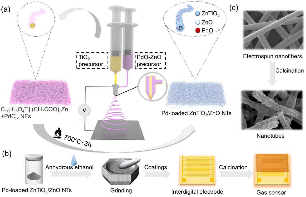 西南交通大学赵志俊副教授：静电纺丝制备具有精细调控异质结构的 Pd 负载 ZnTiO3/ZnO 纳米管，用于 ppb 级氢气检测