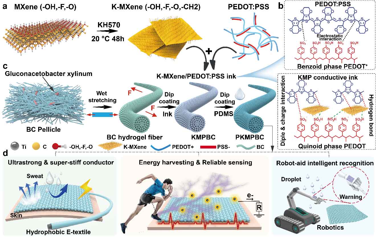 江南大学魏取福教授/吕鹏飞研究员&新加坡国立大学Chengkuo Lee教授：强韧MXene诱导细菌纤维素纤维用于AIoT电子纺织品