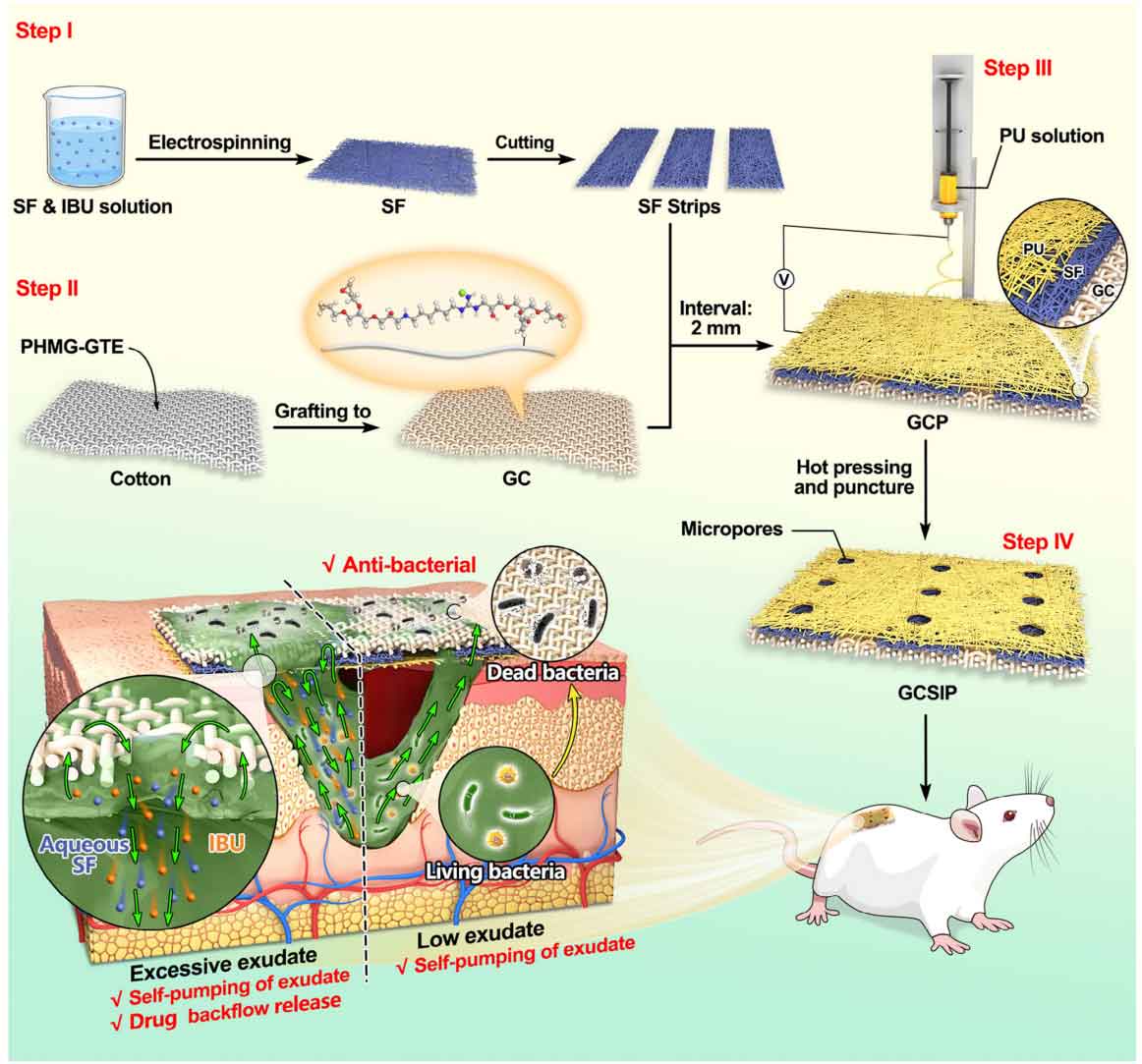 浙江理工大学吴金丹教授：微孔阵列三层自吸泵式敷料，用于糖尿病伤口愈合中的药物回流释放