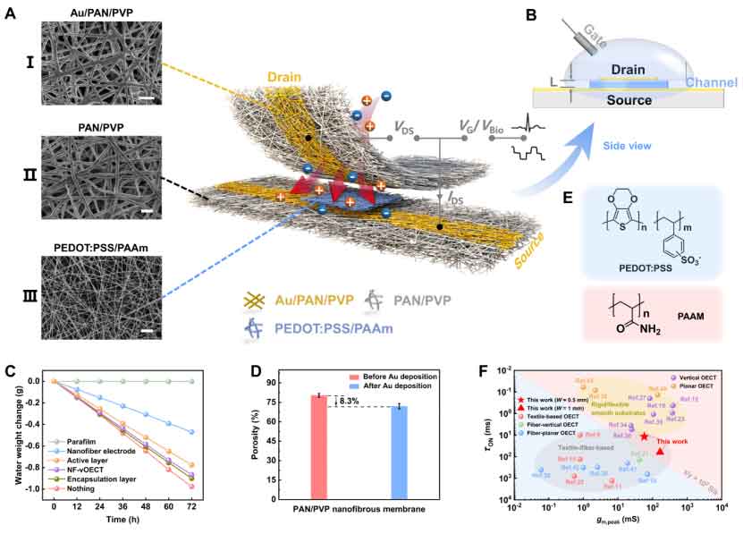 东华大学王刚、孙恒达&上海交通大学医学院姜虹、孙宇《AM》：离子可渗透电极赋能半导体纤维基有机电化学晶体管