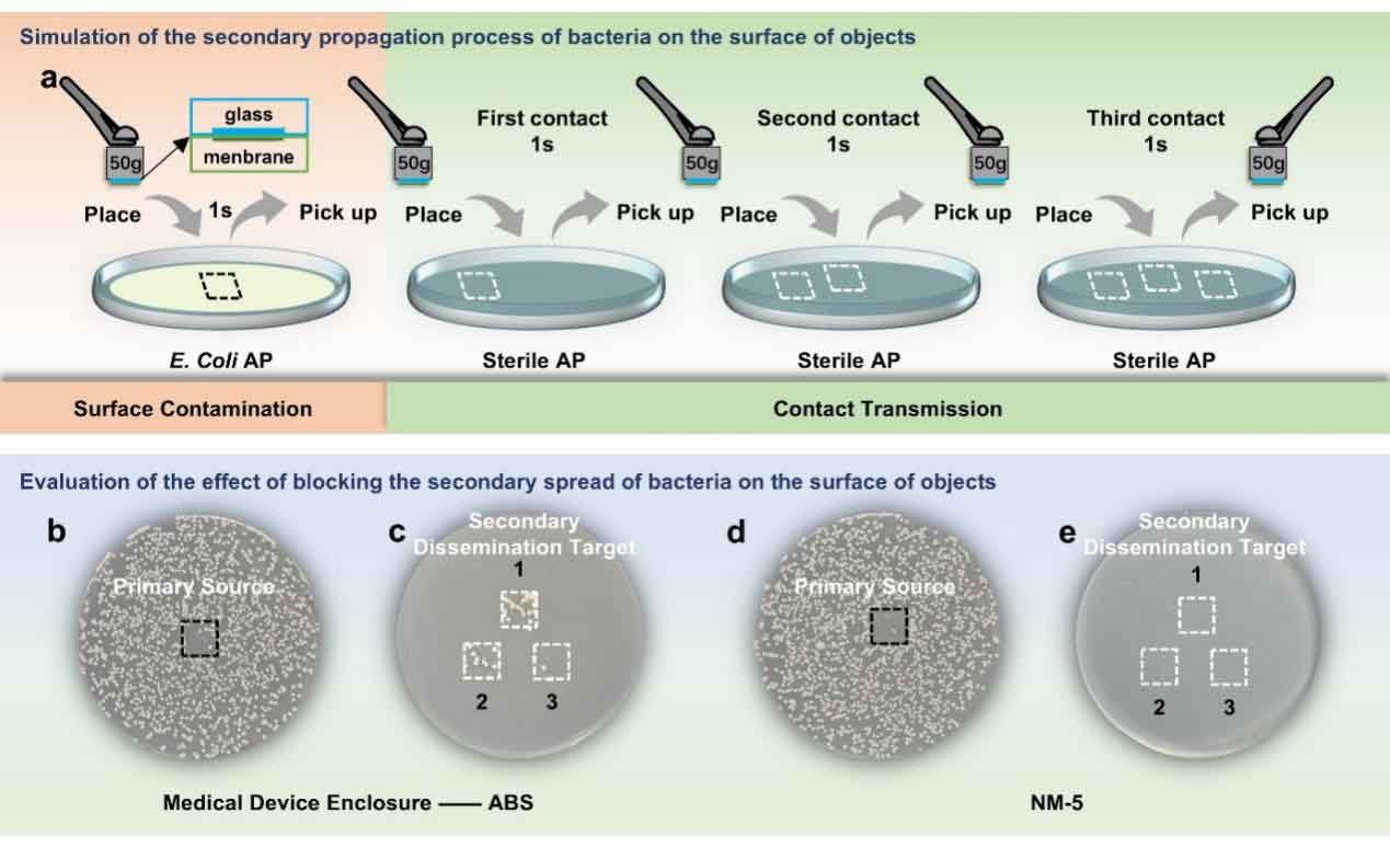 西安理工大学汤玉斐教授：用于高风险公共表面工程的即时接触抗菌纤维膜