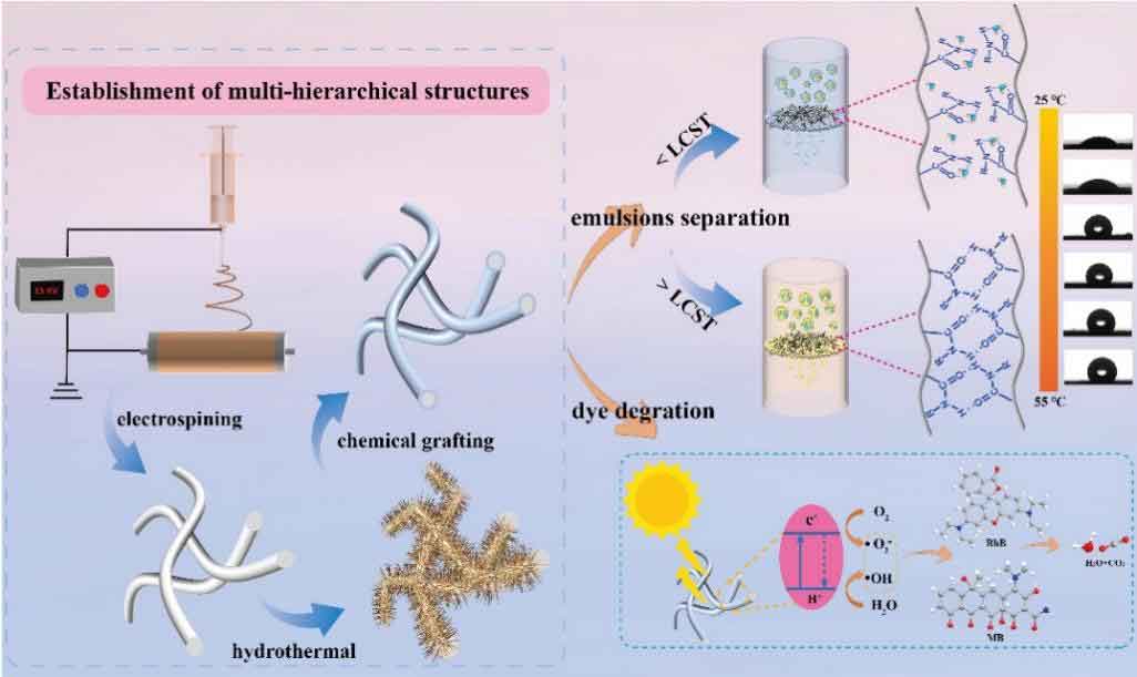 新疆大学王鲁香、徐梦姣团队：光/热诱导可切换润湿性复合膜，用于油/水分离和染料降解 