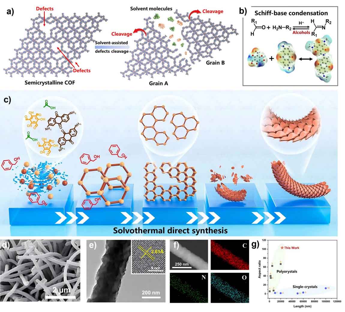 【顶刊聚焦】“纳米纤维”前沿三大突破！