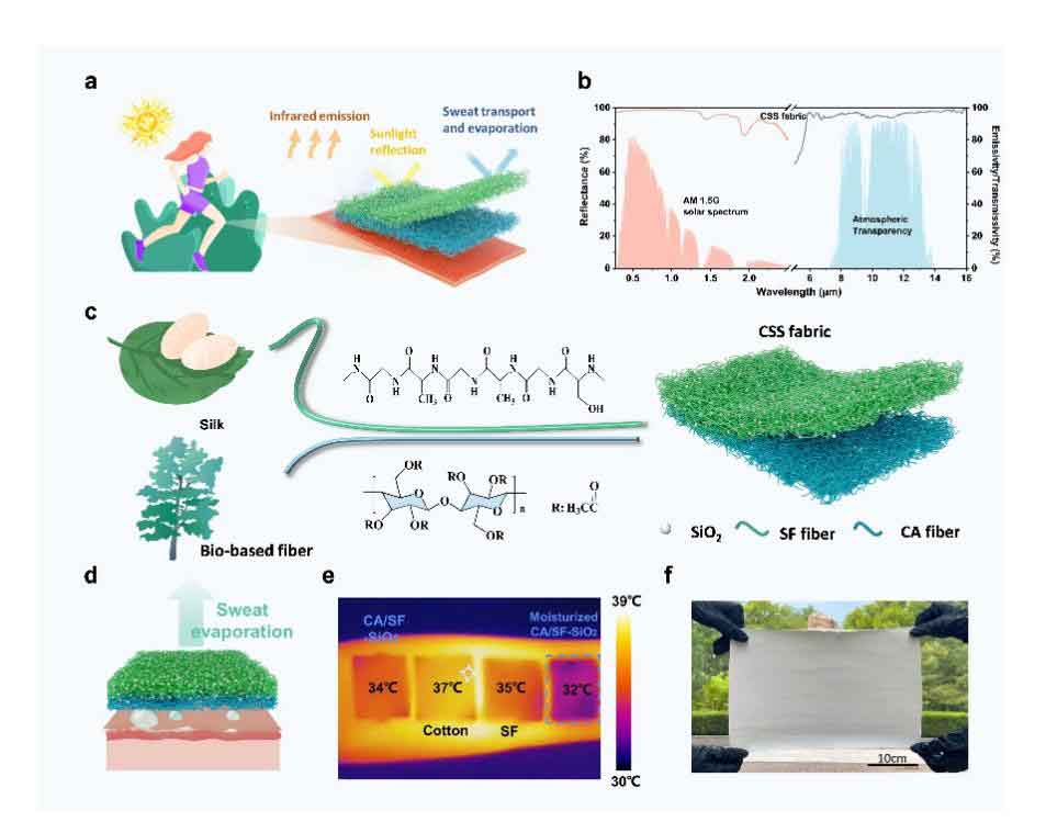天津科技大学惠岚峰教授：丝素-纤维素Janus织物—协同蒸发散热与辐射制冷的个人湿热管理材料
