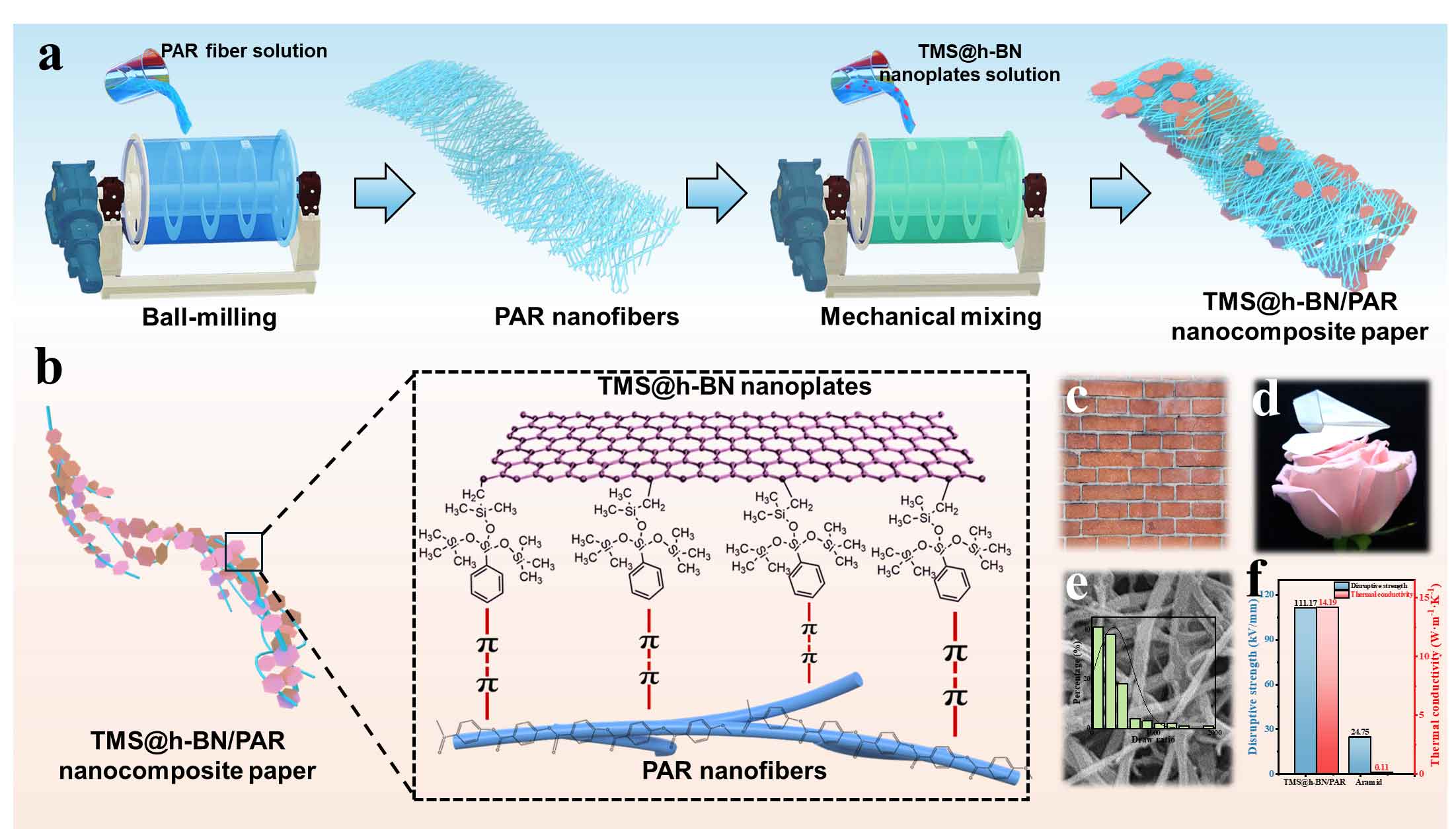 武汉纺织大学王桦&王罗新团队熊思维副教授：类砖泥结构的纳米纤维纸，兼具高导热和高介电强度