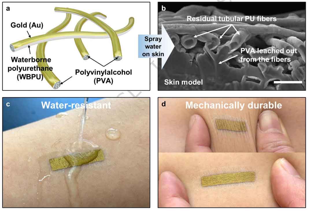 东京大学 Takao Someya教授：透气纳米网电极，兼具更强耐水性和可拉伸性，用于皮肤阻抗监测