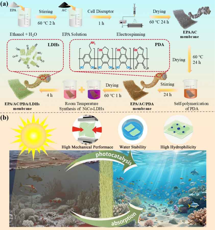 西安工程大学刘呈坤教授：绿色构筑吸附–光催化协同纳米纤维膜，实现高效染料废水治理