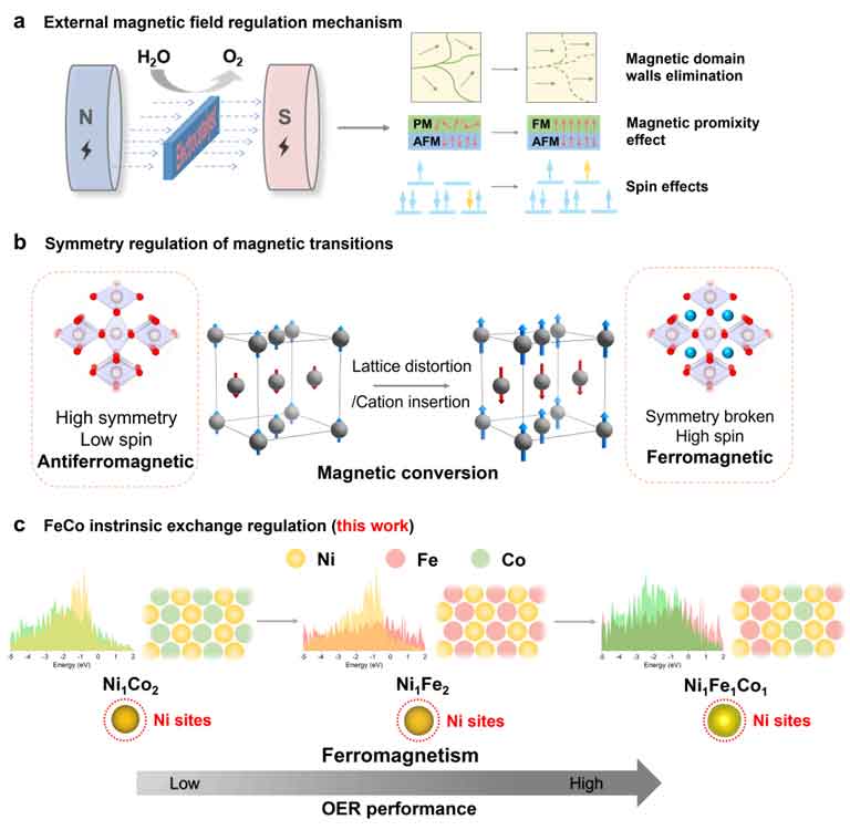 常州大学周子尧教授团队郝继璨JCIS：通过NiFeCo电催化剂的本征交换，调控Ni位点局部磁性