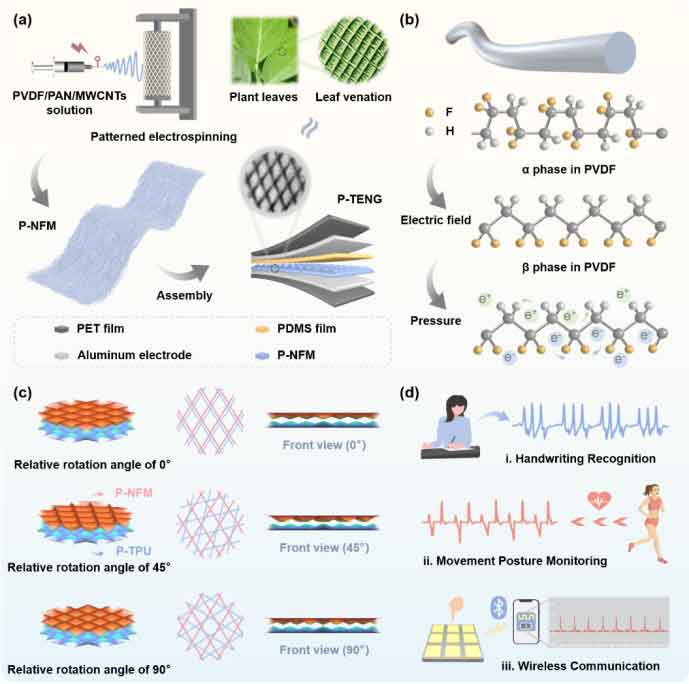 青岛大学王凤云教授&王晓雄教授：一种“魔角”摩擦纳米发电机：基于图案化纳米纤维集成旋转调制与高性能触觉传感