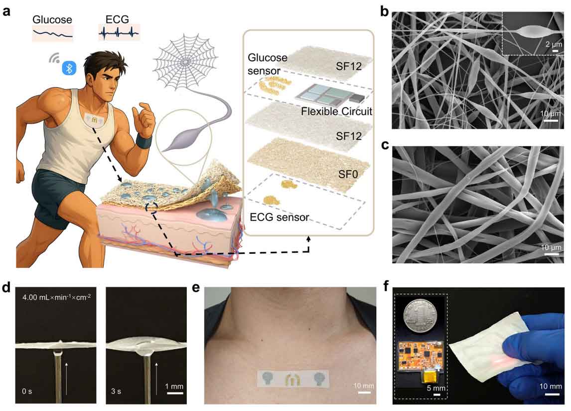 IF 36.3！中山大学周建华、乔彦聪&清华大学任天令：静电纺丝开发纺锤状结构定向排汗纳米织物