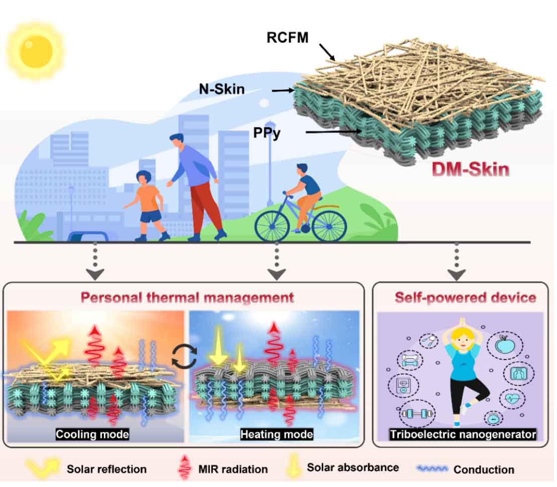 陕西科技大学马建中教授&鲍艳教授《Adv. Fiber Mater.》：化学气相沉积聚合+静电纺丝！设计双调控型天然皮胶原基复合材料