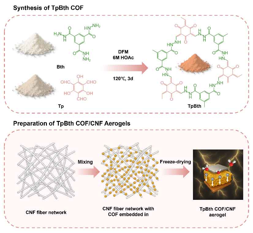 江南大学王利强教授：基于共价有机框架和纳米纤维素的自供电湿度传感器