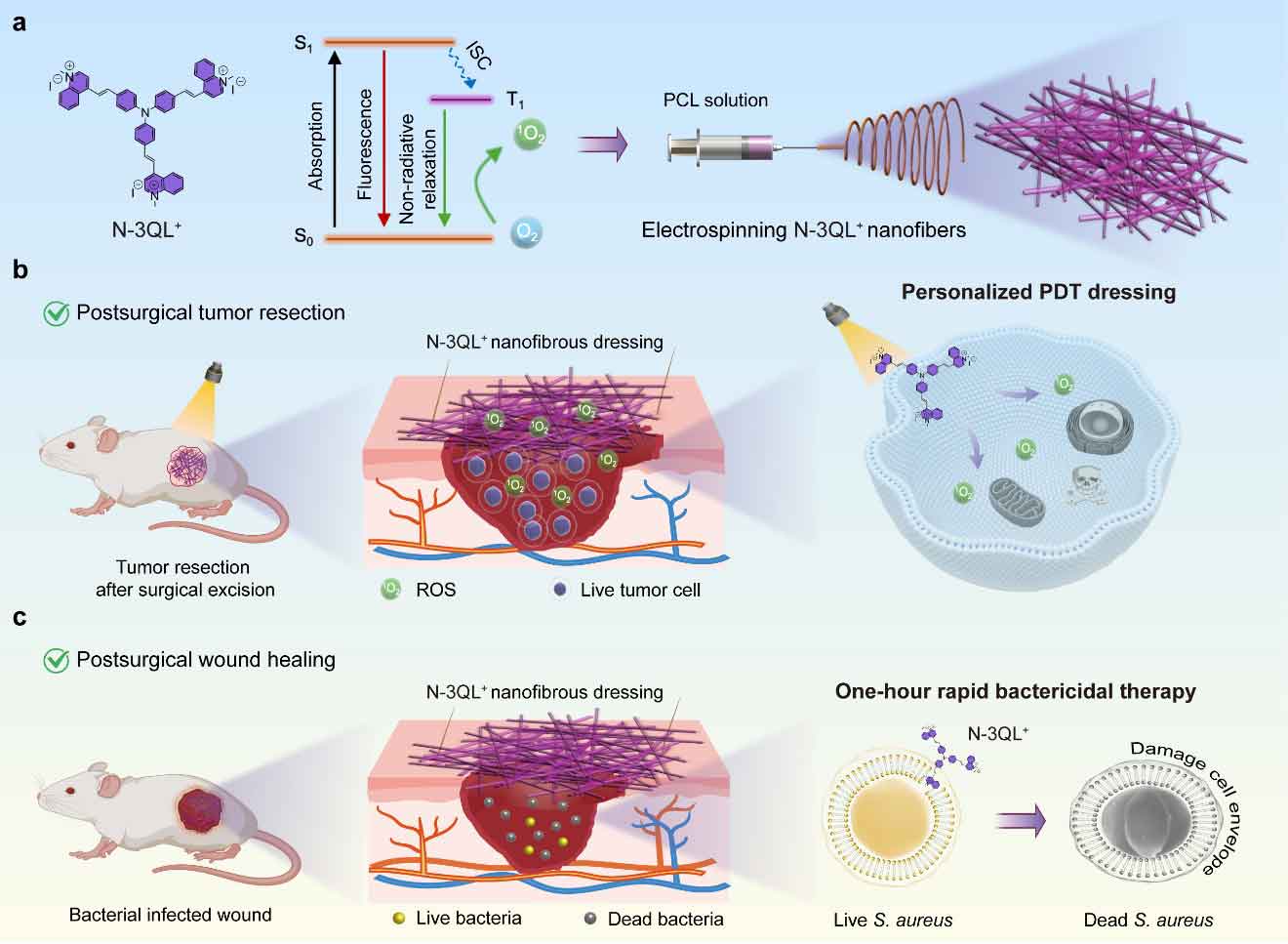 康复大学董瑞华&尹升艳团队：双模式光/暗响应的多功能纳米纤维敷料，实现术后肿瘤-抗菌协同治疗