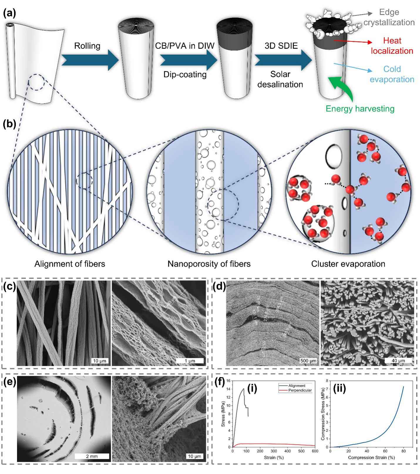 卡尔加里大学吕清叶教授团队：纳米多孔纤维三维太阳能蒸发器，用于高效淡水制备与盐回收