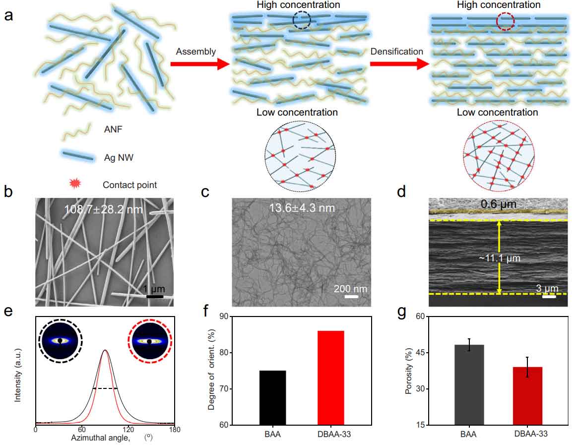 安徽大学白玮教授&李士阔教授AFM：多功能双层银纳米线-芳纶纳米纤维复合薄膜，兼具优异力学性能与电磁干扰屏蔽性能