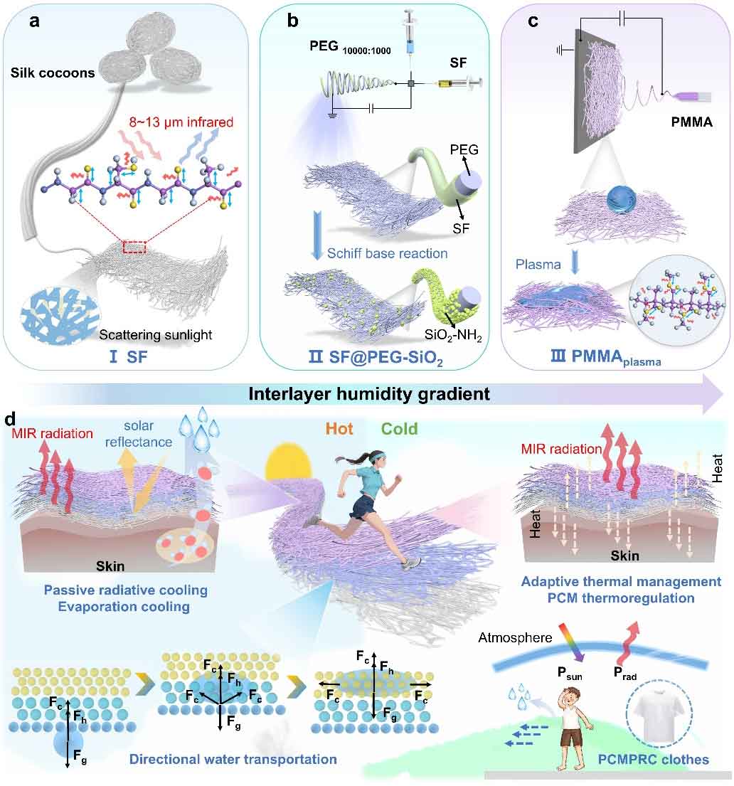 武汉纺织大学王金凤&中科院化学所张金明：智能热湿管理且全天候自适应调节超织物