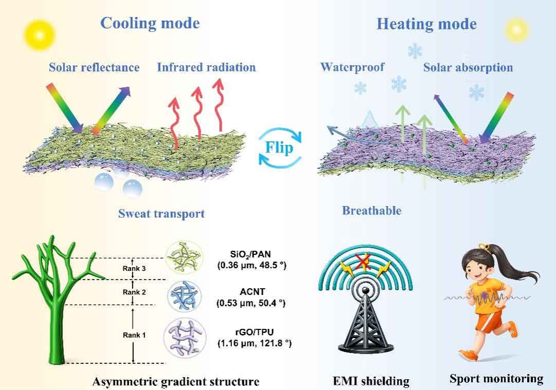 吉林大学张淑玲教授：一种具有非对称光学特性及孔径/润湿性梯度的复合纤维膜