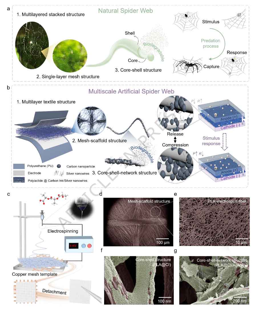 短短2周，《Nature Communications》连发4篇“静电纺丝”重磅研究